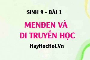 Di truyền học là gì? Đối tượng của di truyền học là gì? Nội dung và ý nghĩa của di truyền học - Sinh 9 bài 1